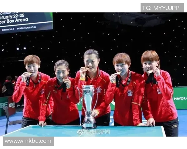 南京排球队在奥运会上的团队协作表现值得称赞与反思